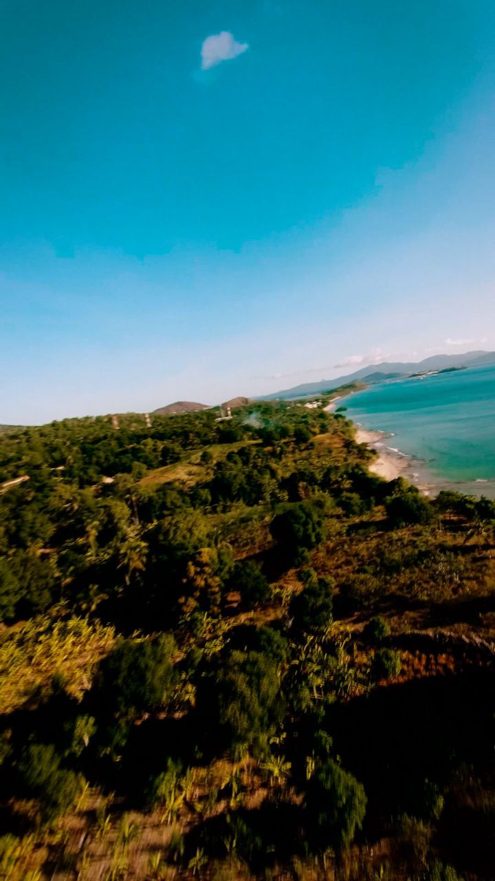 Badamiers beach
#travelling #travememories #mayotte #fpvcinematic #cinematicshots #frenchisland #chillvibes