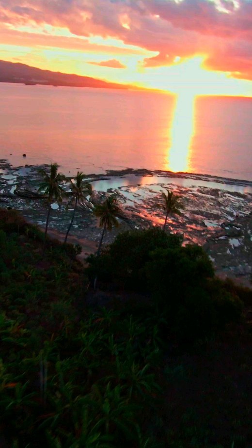 Golden hour
.
.
#goldenhour #nature #islandvibes #fpv #dronelife #mayotteisland #mayotte #beachvibes #trendingreels #contentcreator #creator