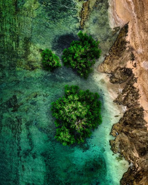 En hauteur
#dronephotography #mayotte #nature #naturephotography #travememories #travel